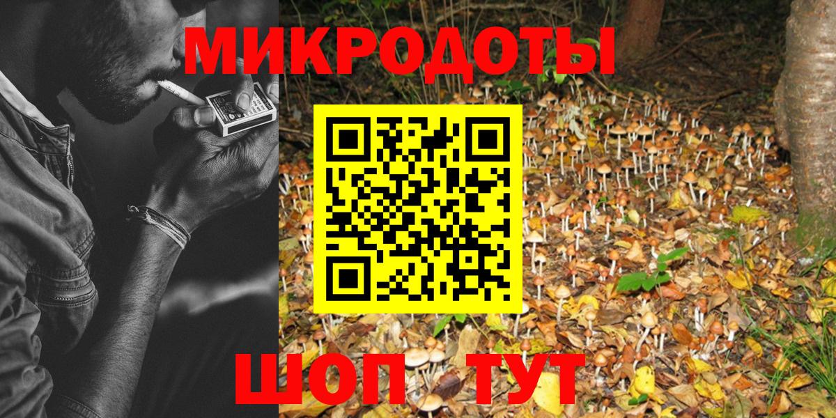 Галлюциногенные грибы Psilocybe  Вход с VPN  Кемерово 